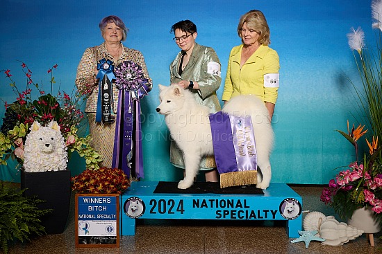 Win Photos 10/25/25