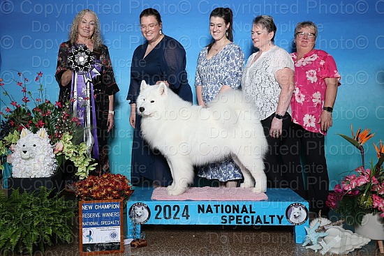 Win Photos 10/24/24