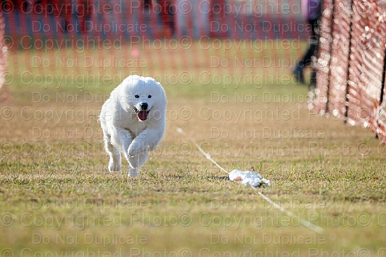 FastCAT Camera 2 - Additional Images