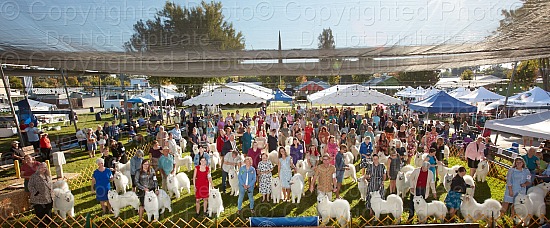 SCA National Specialty Award Photos