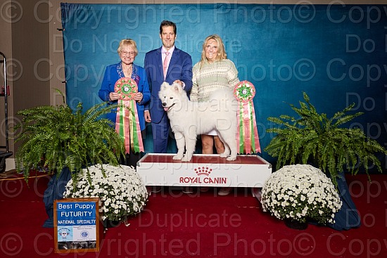 Win Photo Proofs  - Futurity and Veterans