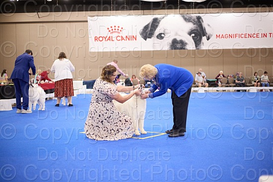 Candid and Ring Proofs