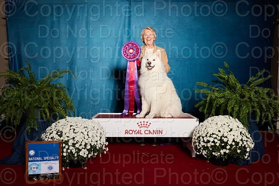 Sweepstakes (Puppy and Working) - Proofs