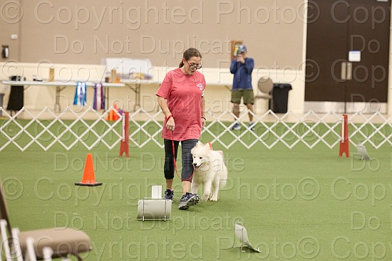 Rally Proofs (Until 4:30 PM)