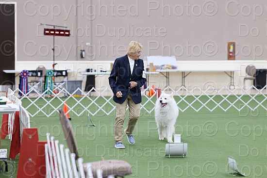 Rally Proofs (4:30 PM to 6:30 PM)