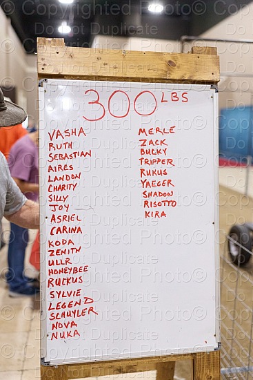 Weight Pull Sanctioned - Proofs