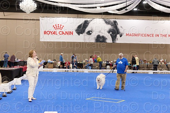 Candid and Ring Proofs 2 PM - 4 PM