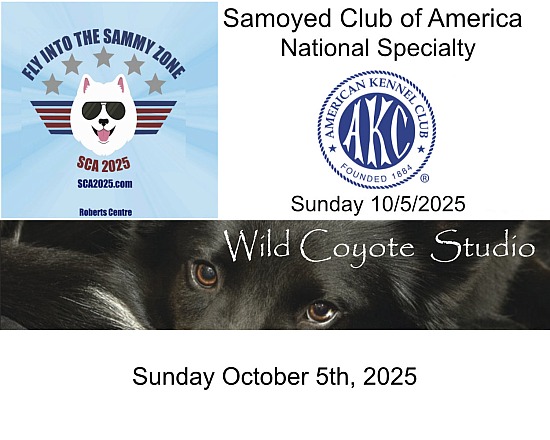 Sunday October 5th, 2025