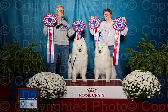 Win Proofs - The Female Dogs