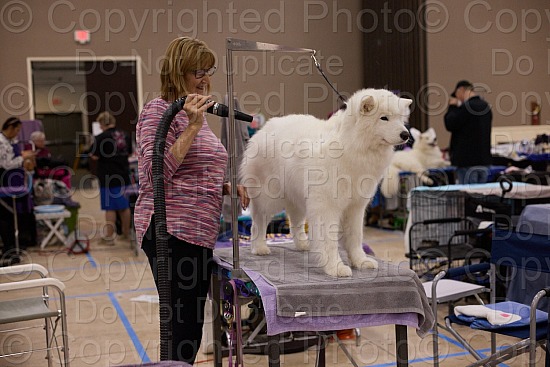 Candid and Ring Proofs 7 AM to 11 AM