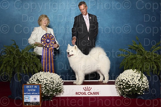 Win Photos - Best in Show