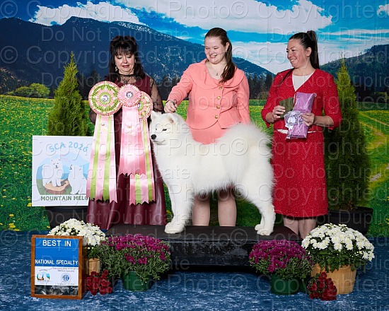 Tuesday, October 6, 2026