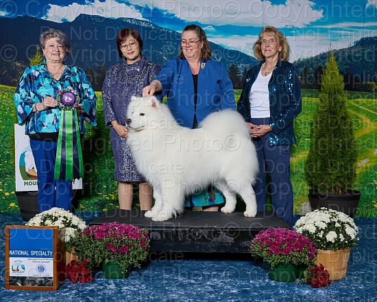 Thursday, October 08, 2026
