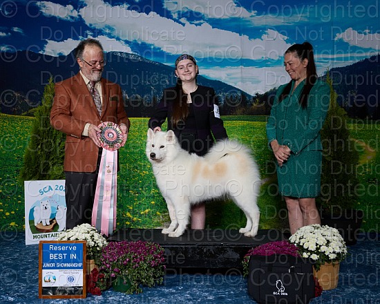 Saturday, October 10th, 2026 Best of Breed Competition